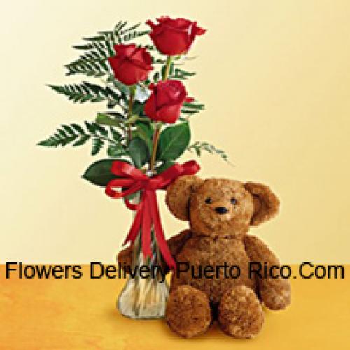 3 Red Roses with 12 Inch Teddy