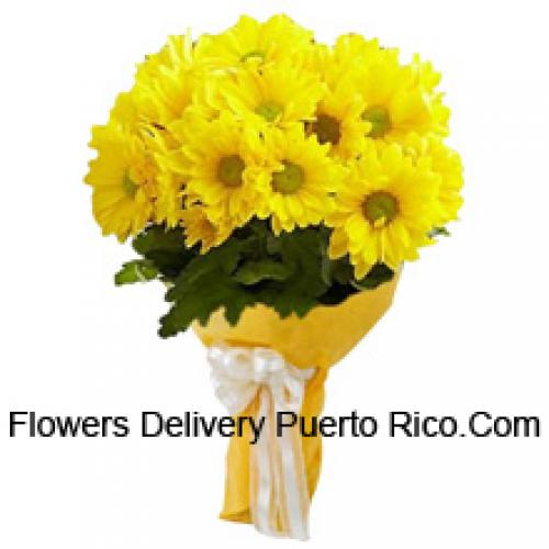 Cool 19 Yellow Gerberas