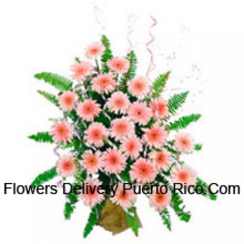 25 Cute Pink Gerberas