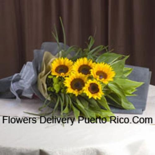 Handpicked Sunflowers Bunch