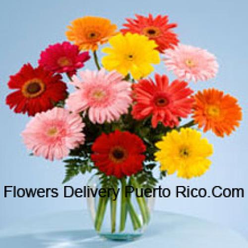 11 Sweet Mixed Gerberas