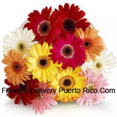 11 Gerberas Variadas con Rellenos