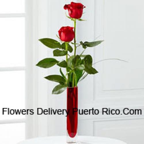 2 Sweet Red Roses in Vase